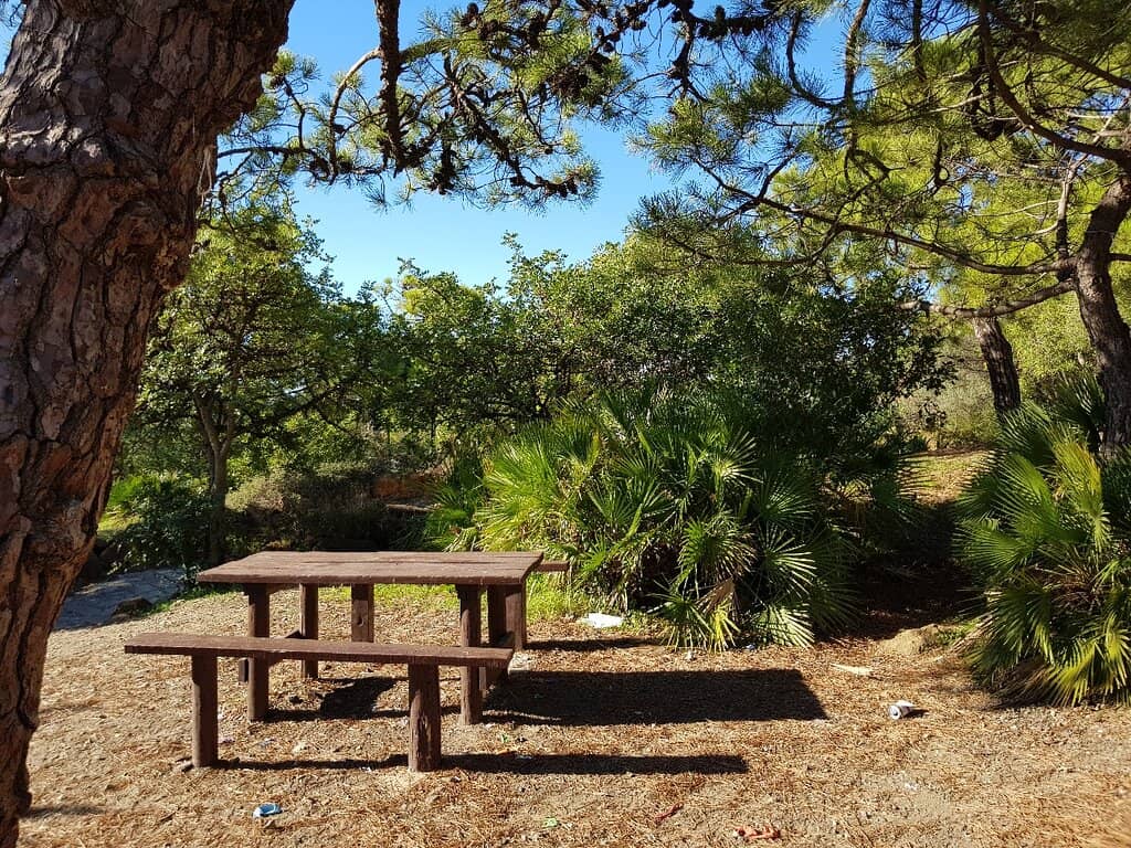 Family Picnic Spots
