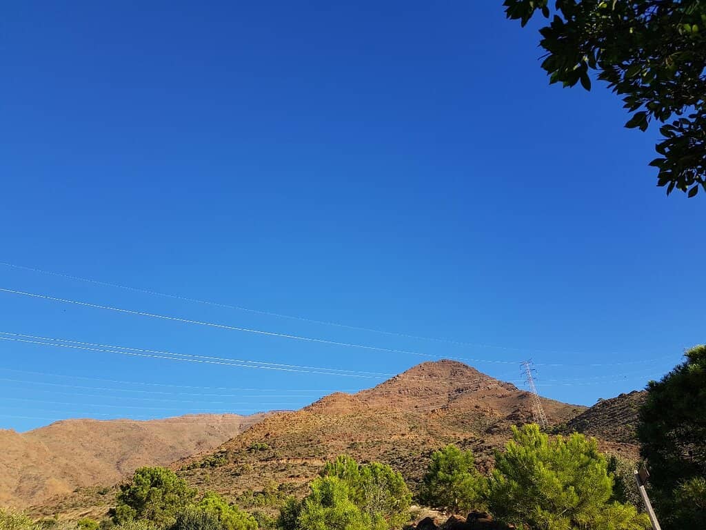 Vertical photo