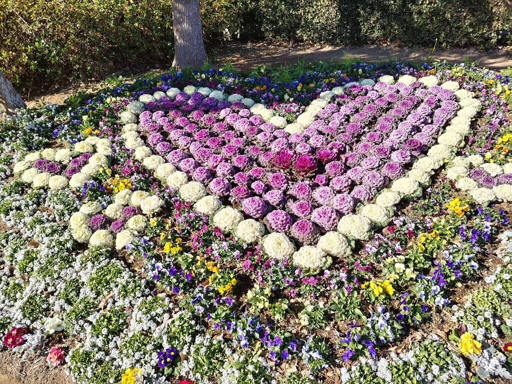 Flower-Filled Meadows