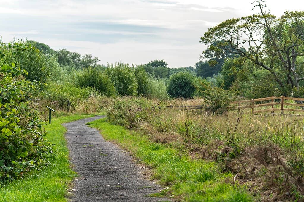 Bird Hides