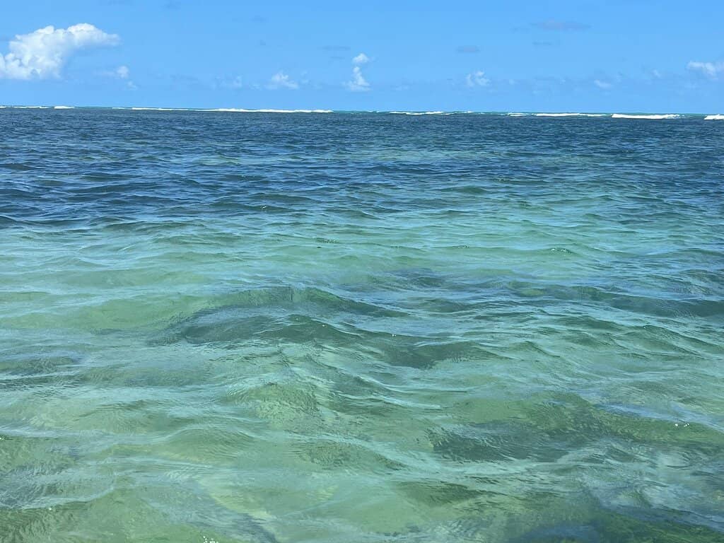 Natural Pools