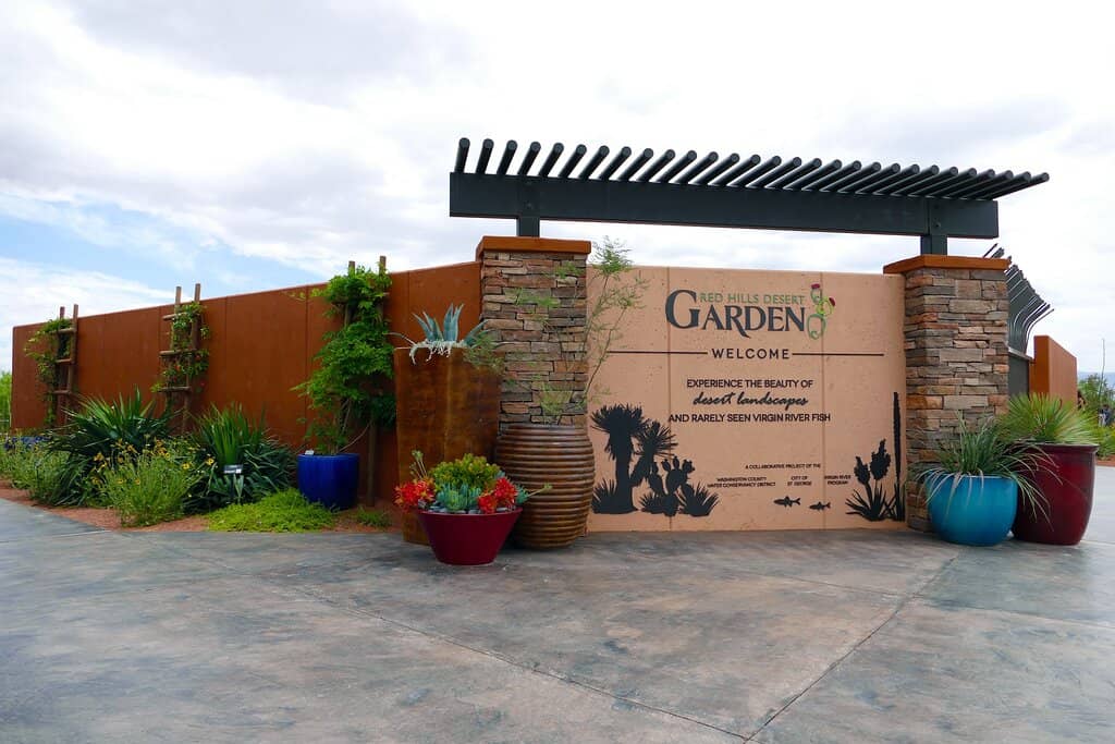 Water-Efficient Plant Collection