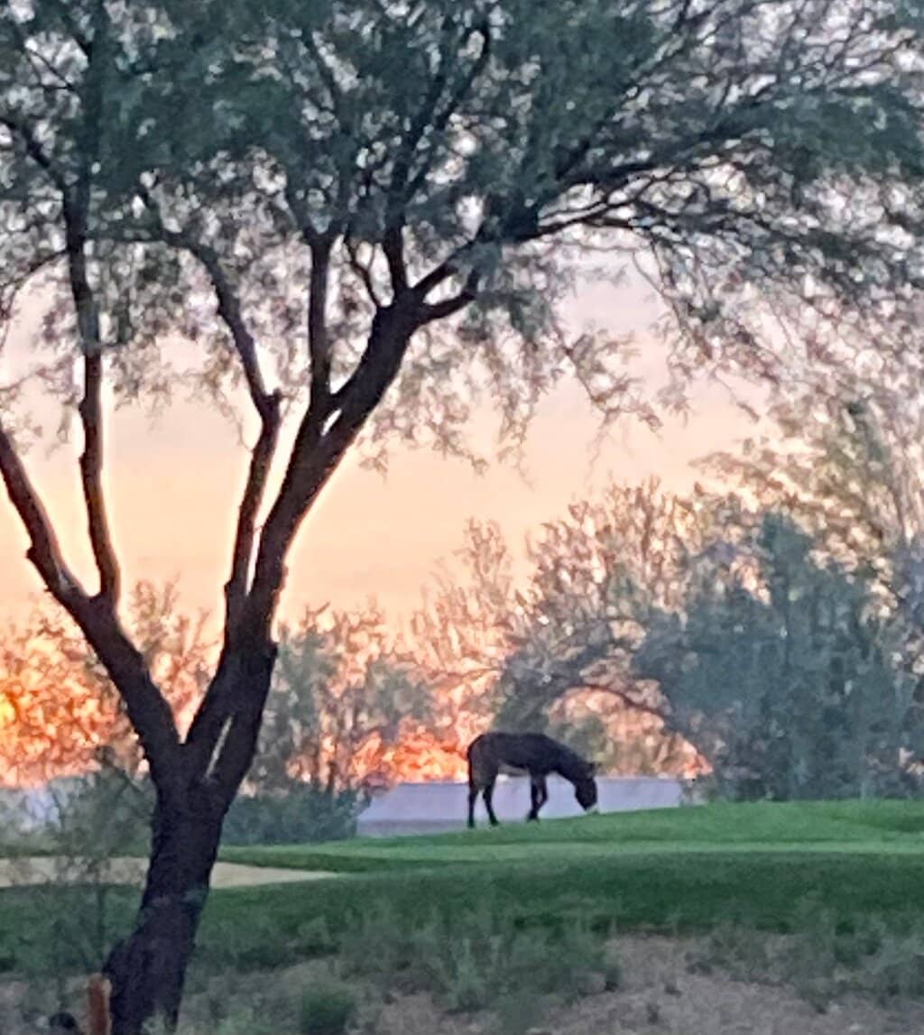Spectacular Par 3s