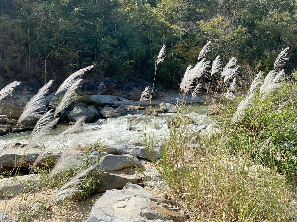 Nature Trails