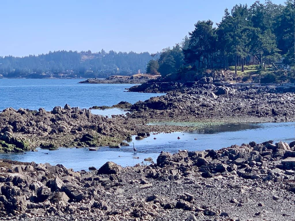Rocky Beach Access