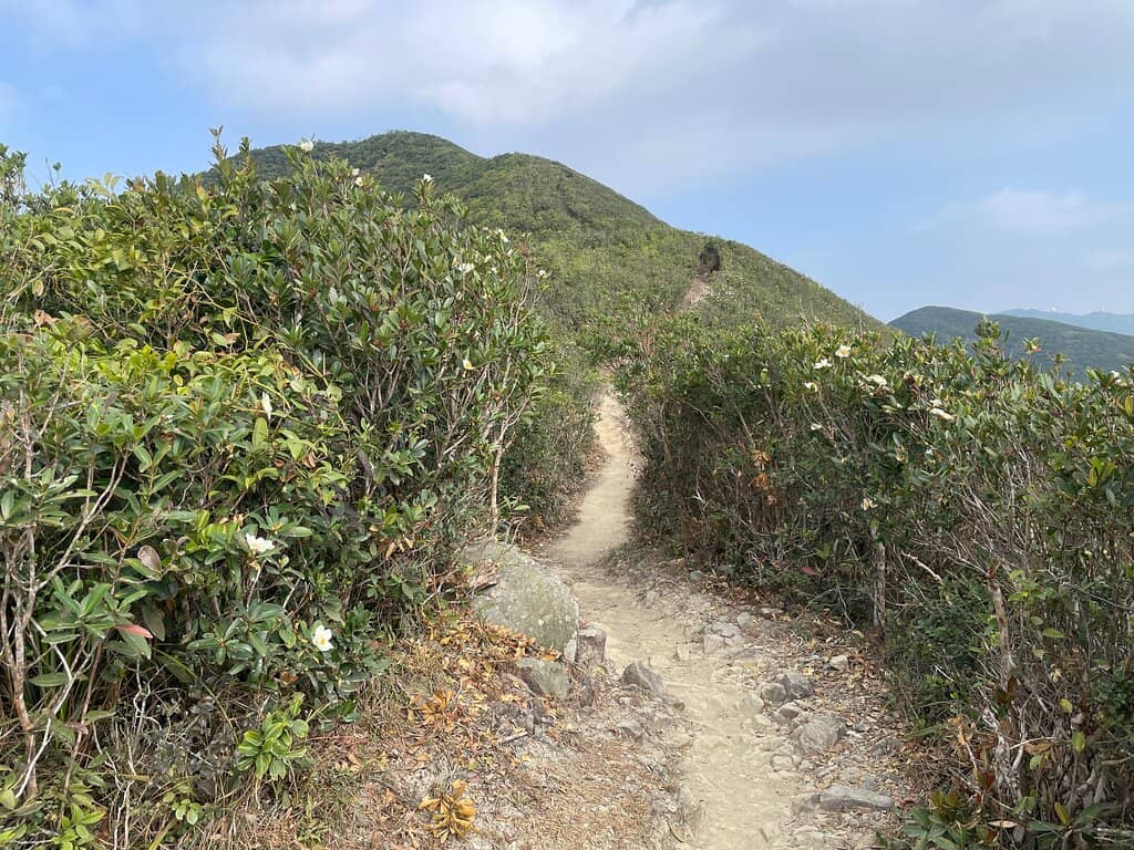 Ma Gang Shan View Point