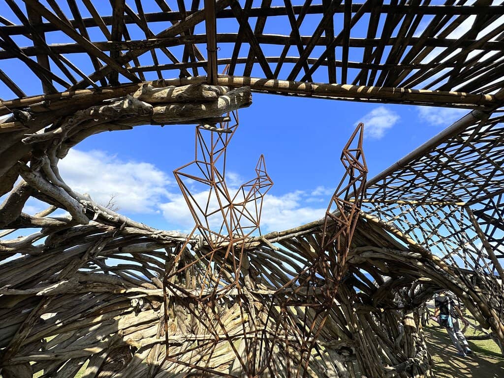 Autumn Foliage Spectacle