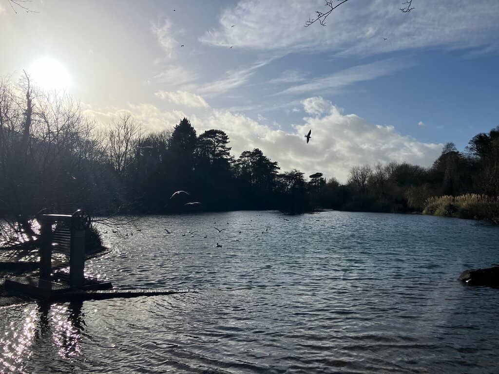 The Serene Water Gardens