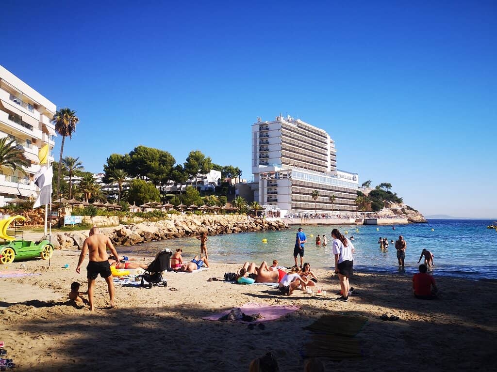 Palm-Lined Promenade