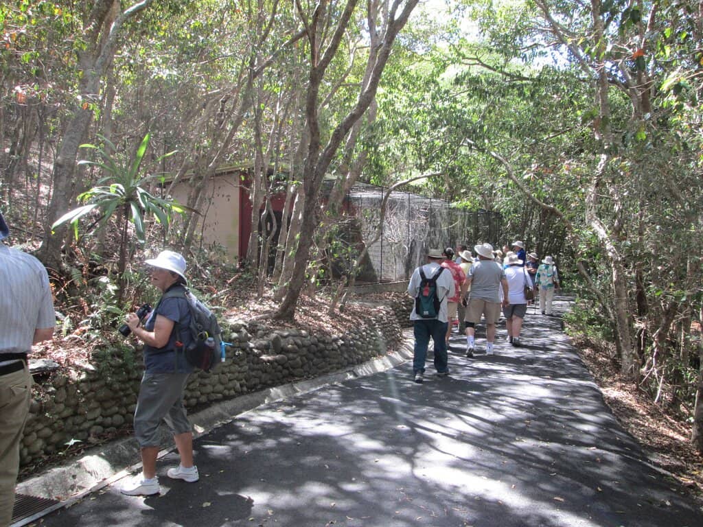 Lush Botanical Gardens