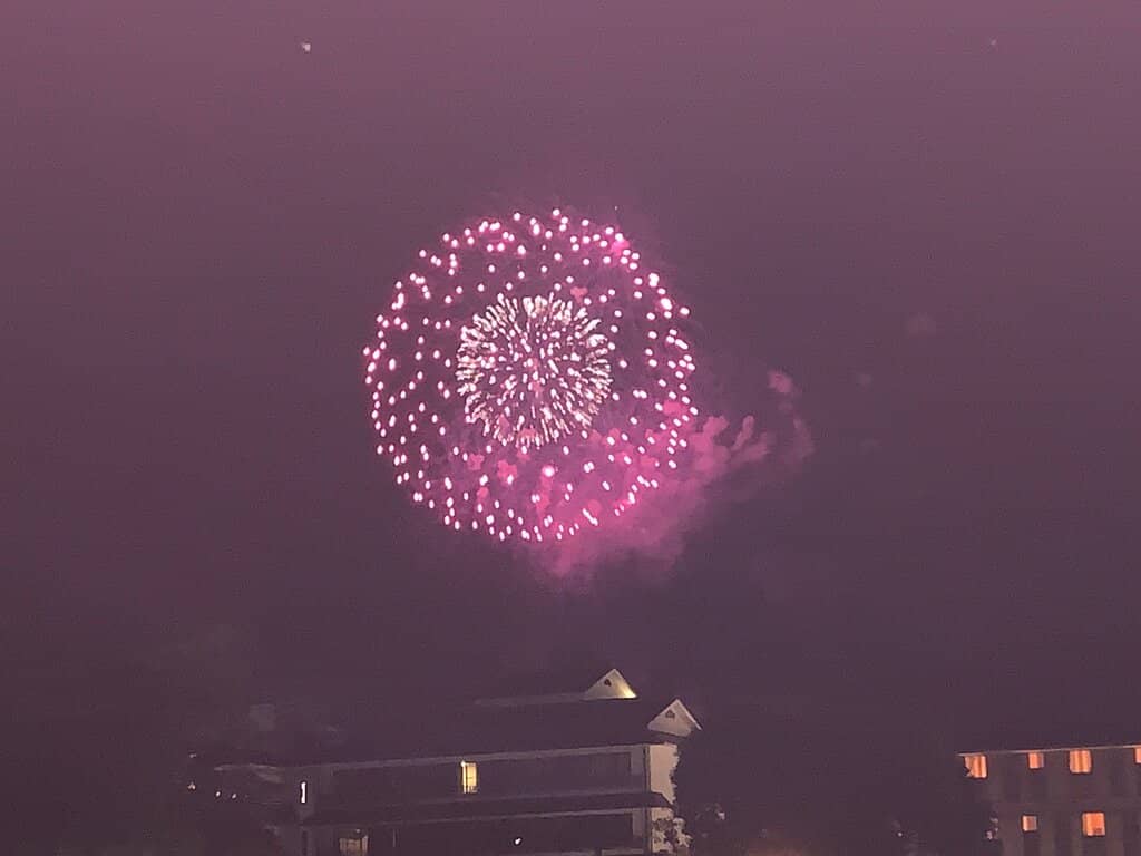 Deer Encounters (Fewer Crowds)