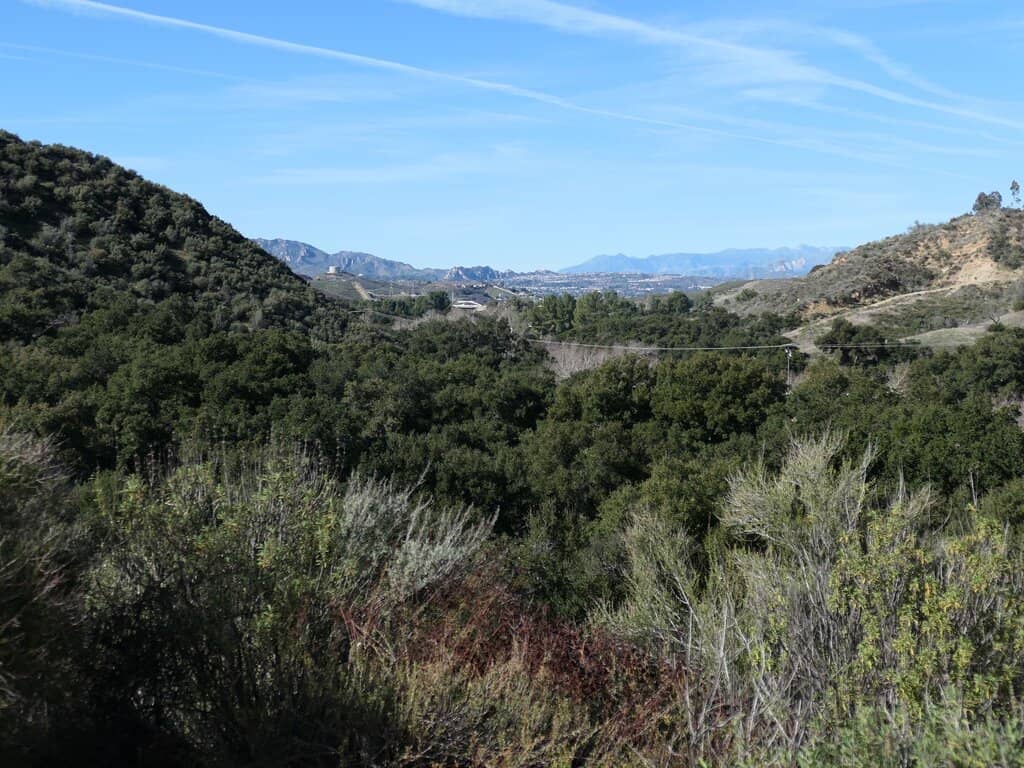 Bird Sanctuary