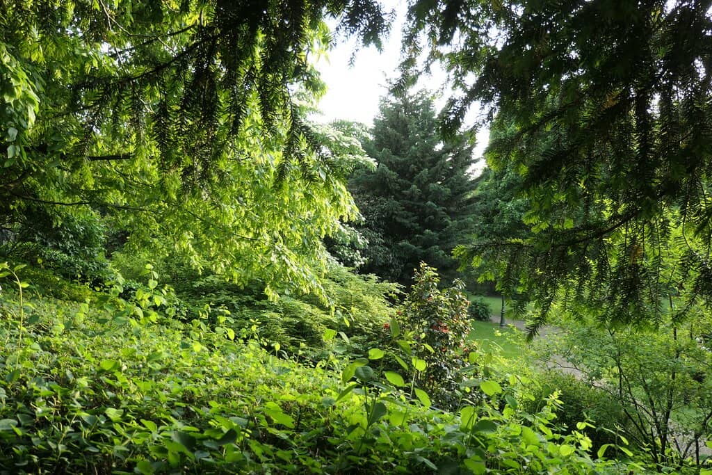 Picnic Spots