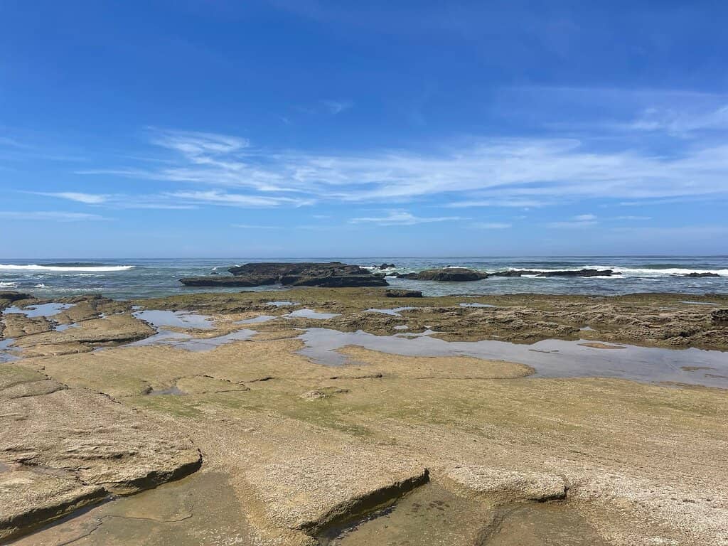 Long Sandy Strolls