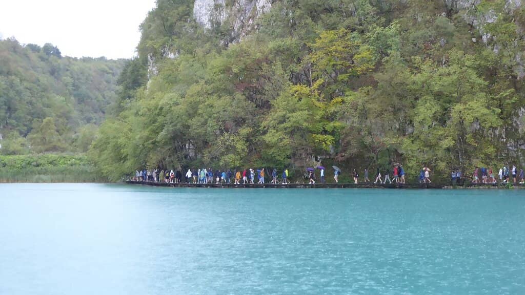 Scenic Walking Trails