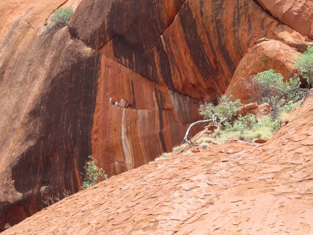 Vertical photo