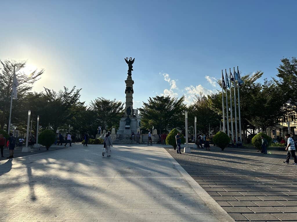 Maquilishuat Trees