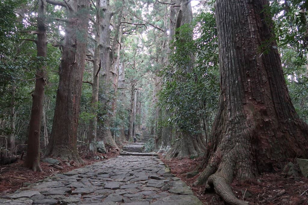 Nachi Falls Viewpoint