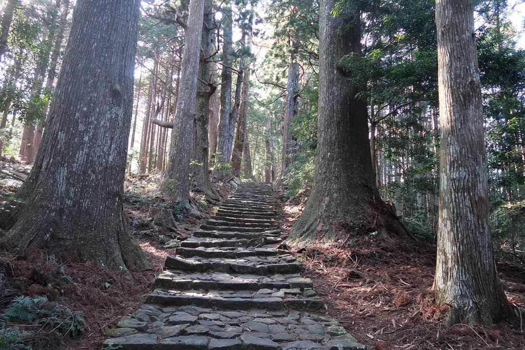 Mossy Stone Path