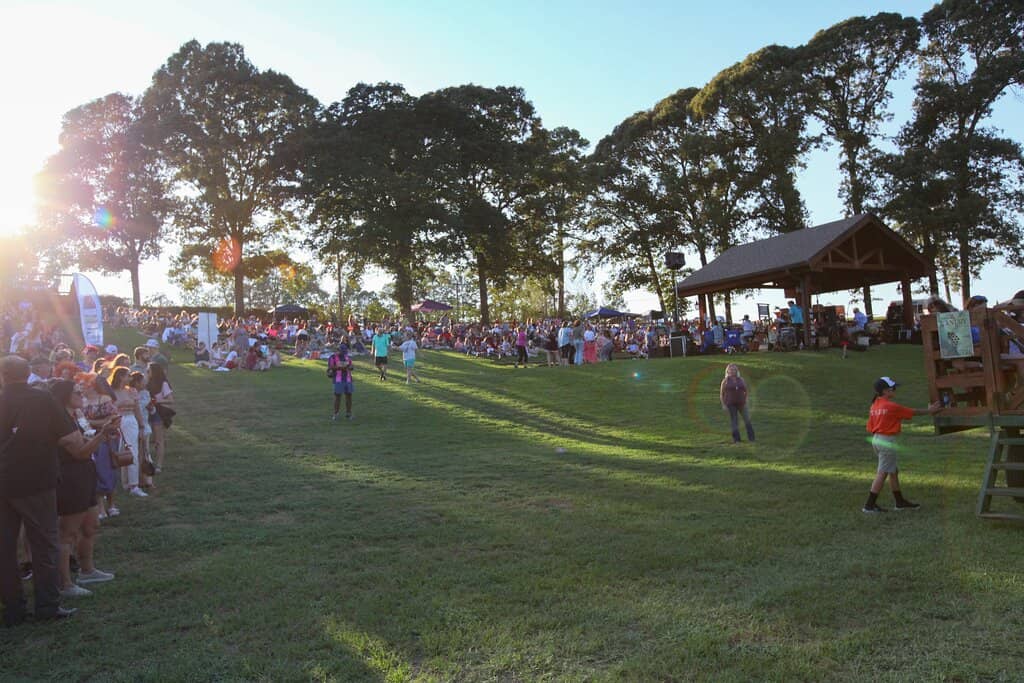 Scenic Cottages & Campsites