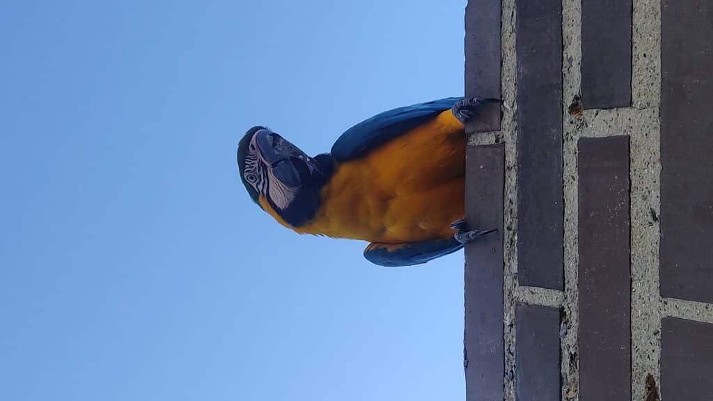 Historic Architecture