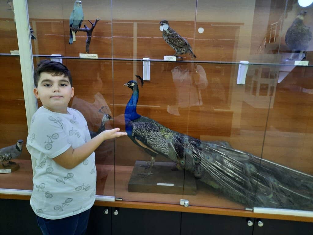 Rare Animal Specimens