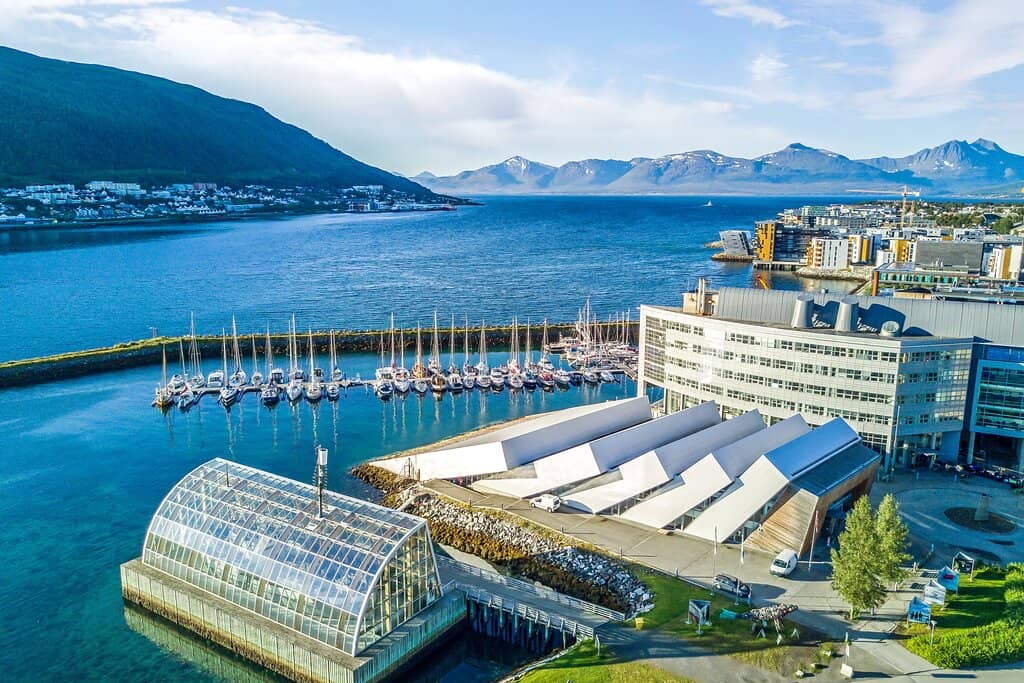 Arctic Nature Cinema