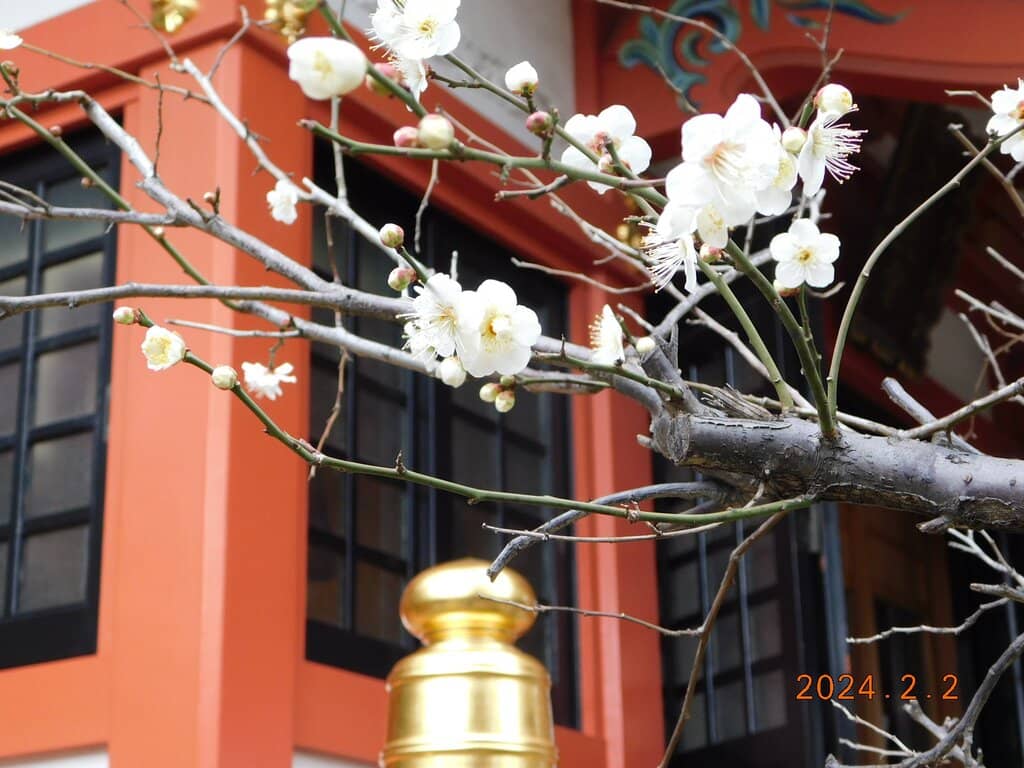 Tokugawa Ieyasu Statue