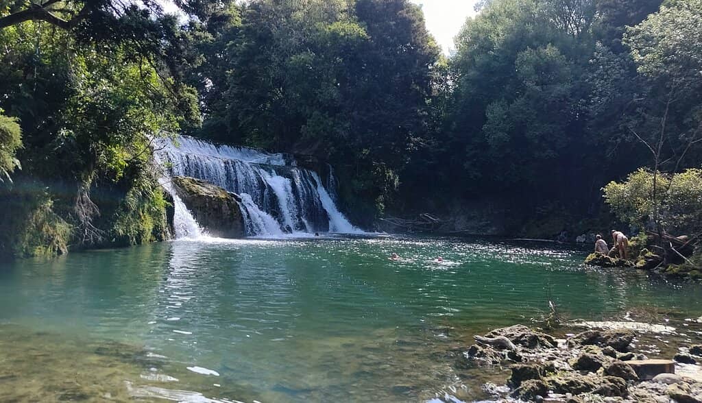 Swimming Holes