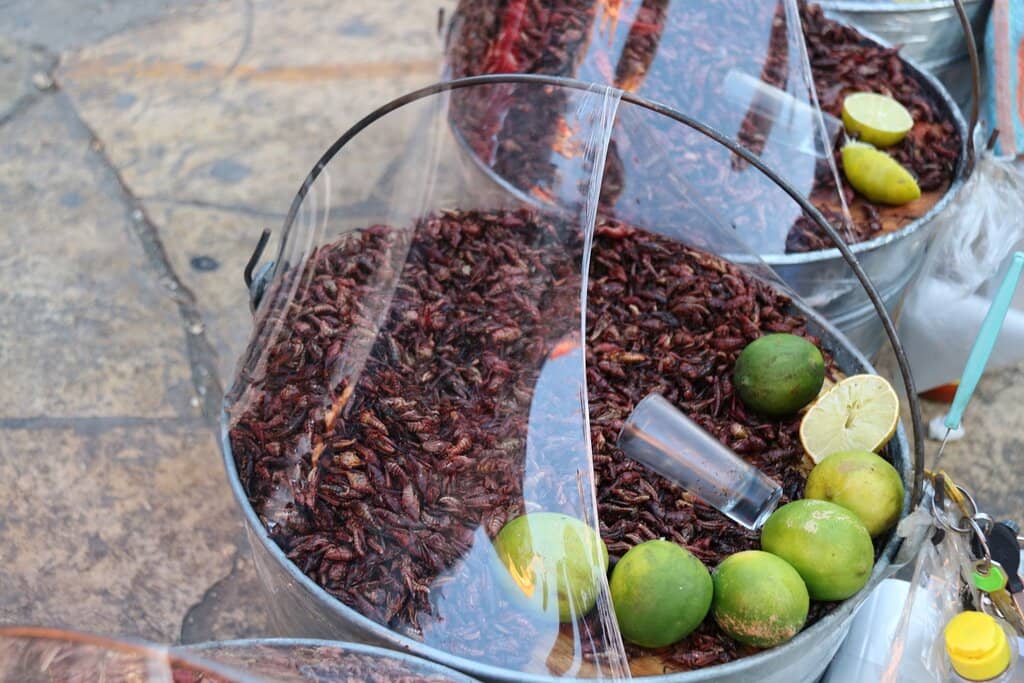 Local Markets & Events