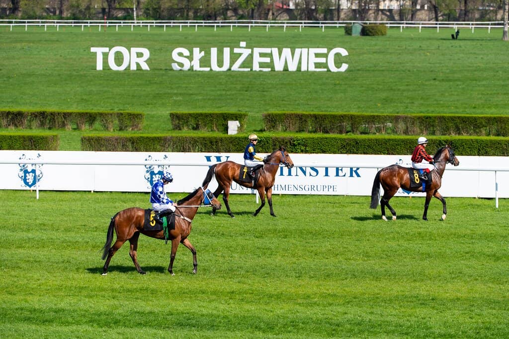 The Thrill of the Races