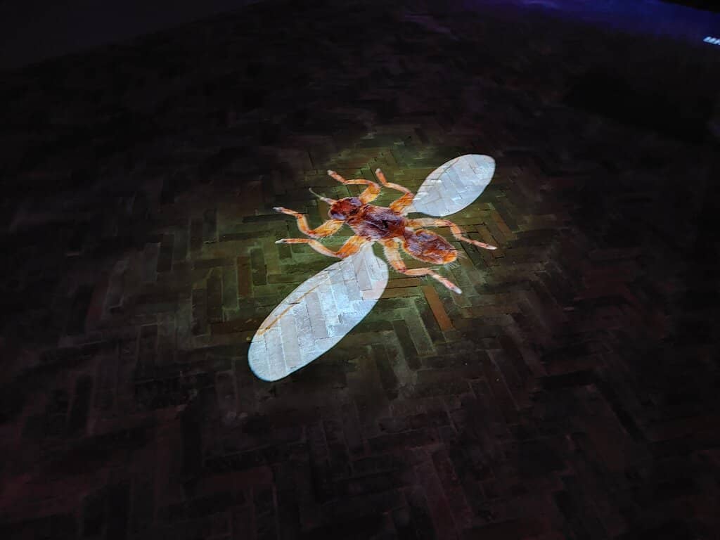 Interactive Castle Elements