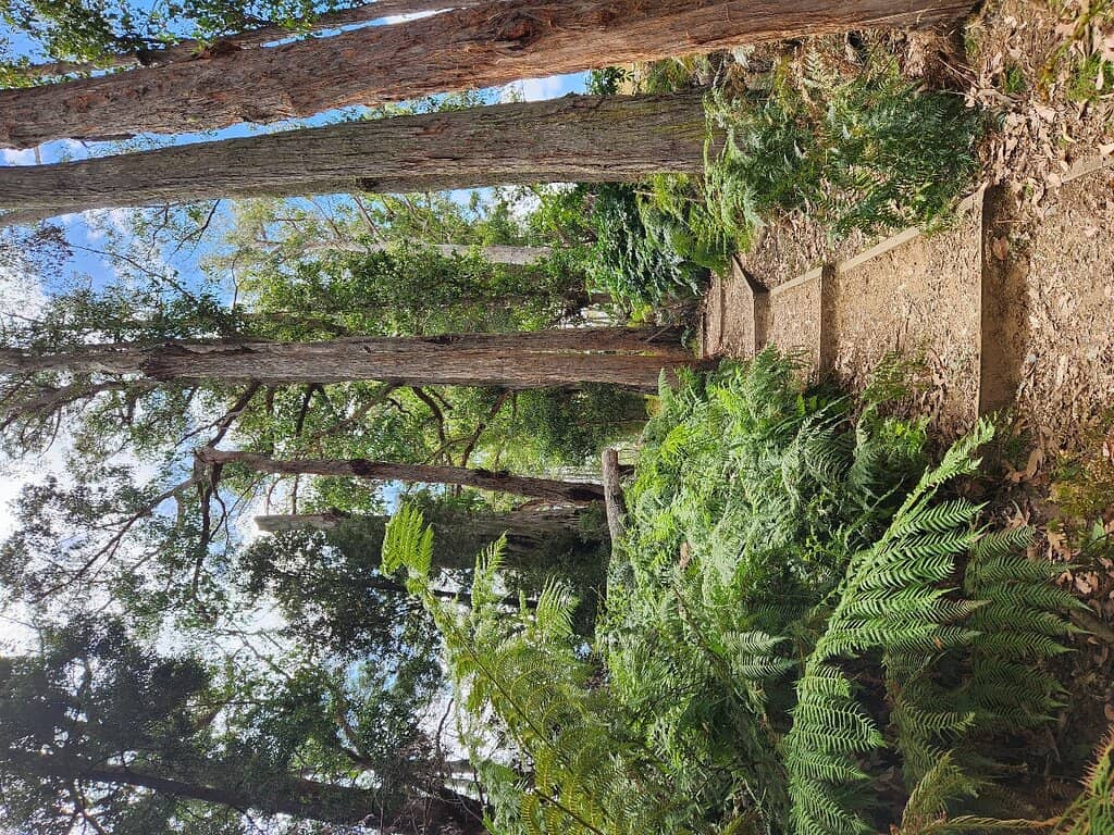 Informative History Signs