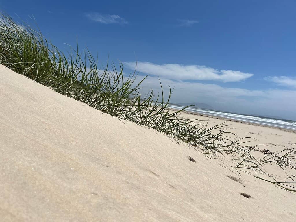 Coastal Walks and Views