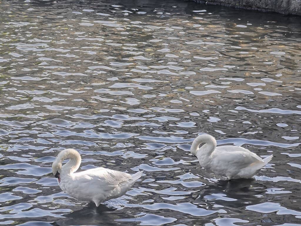 Byparken (City Park)