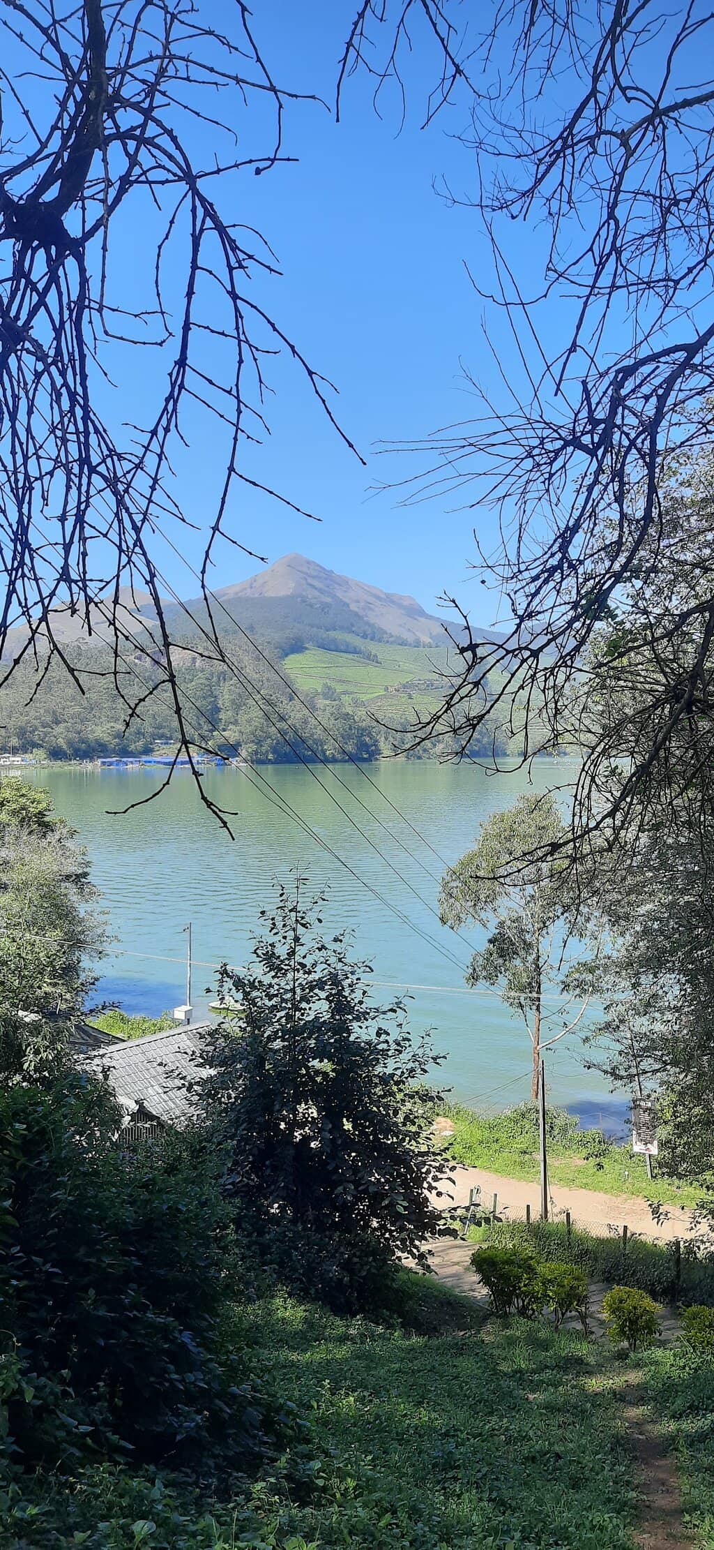 Misty Mountain Scenery