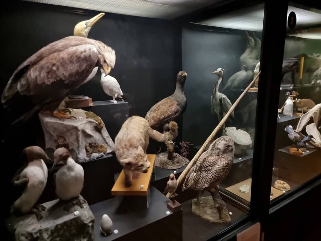 Art Gallery Exhibitions