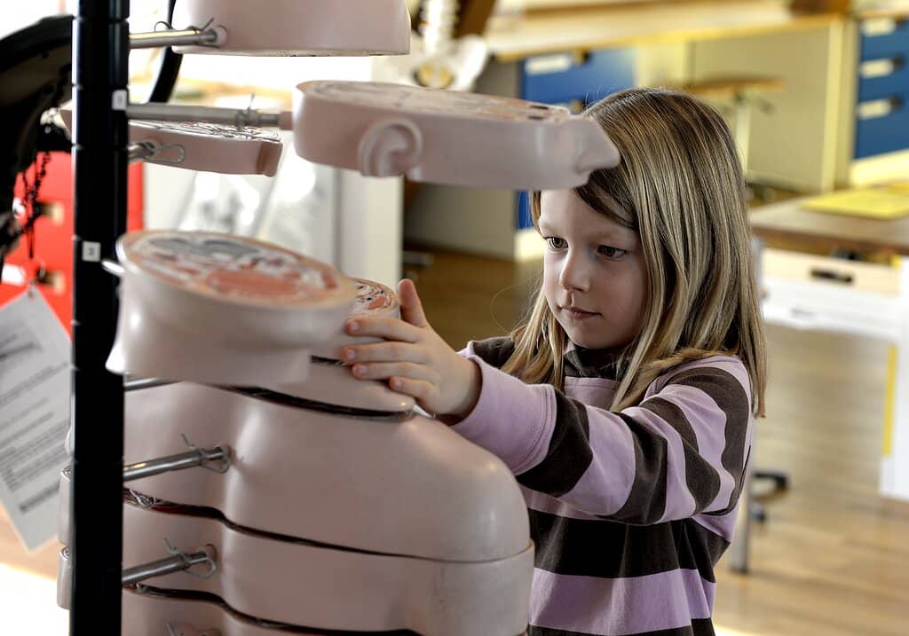 Human Senses Exploration