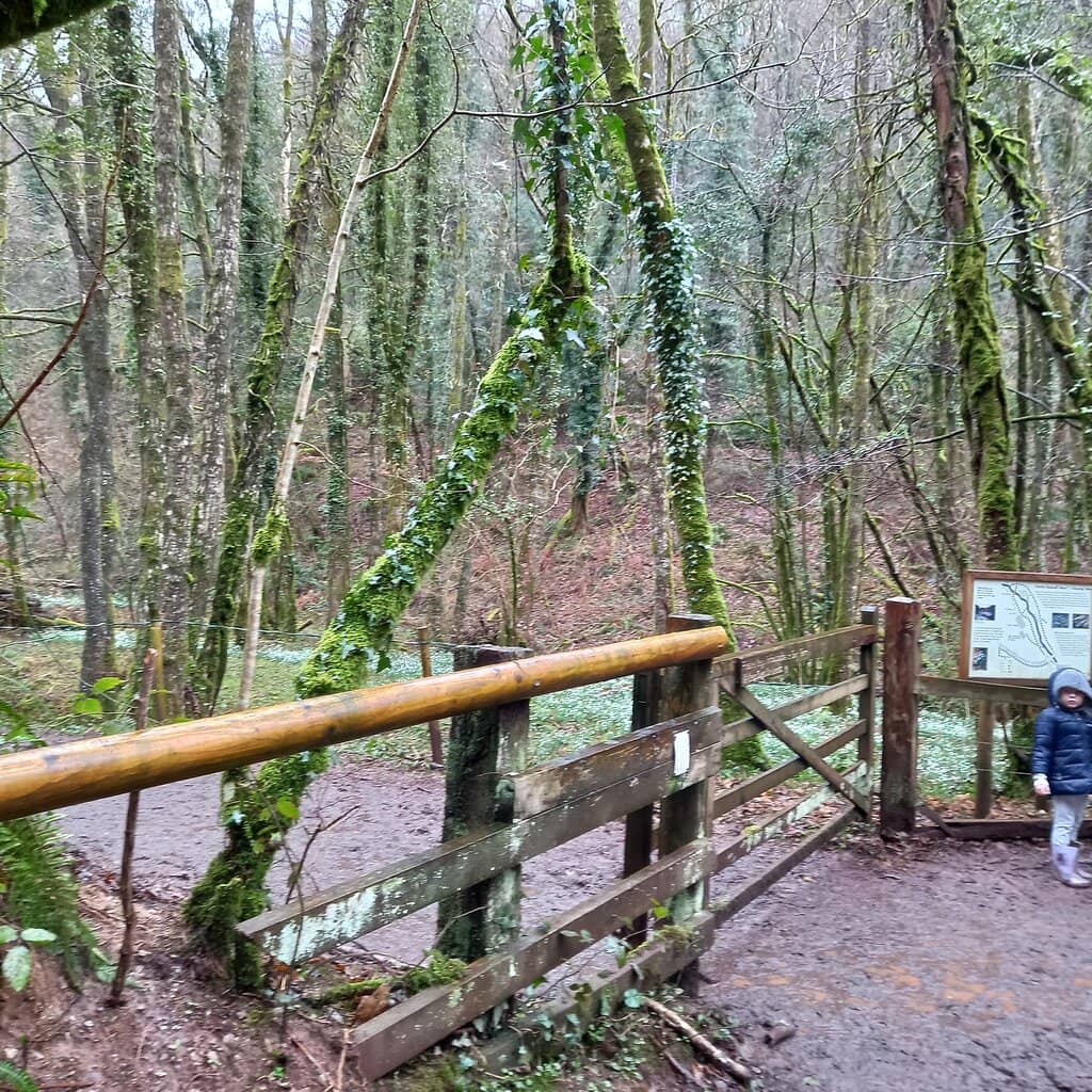 Artist's Inspiration