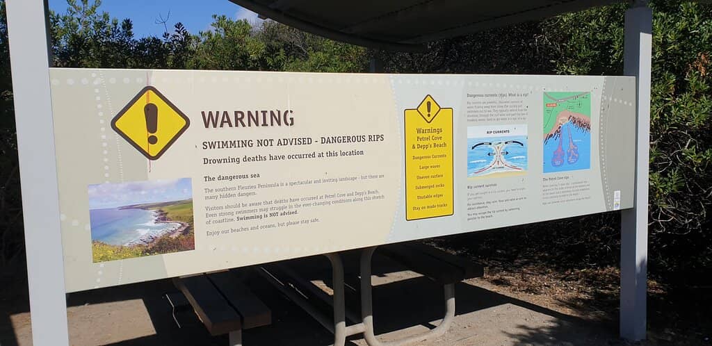 Whale & Dolphin Watching