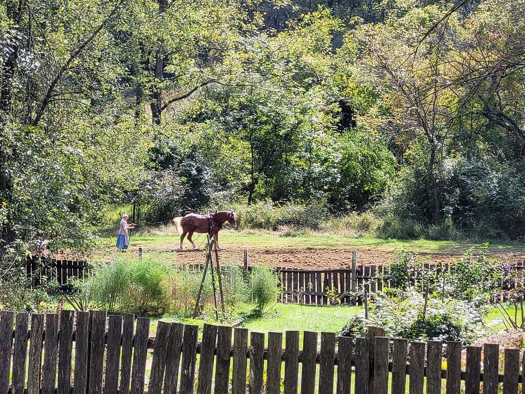 Interactive Historical Educators