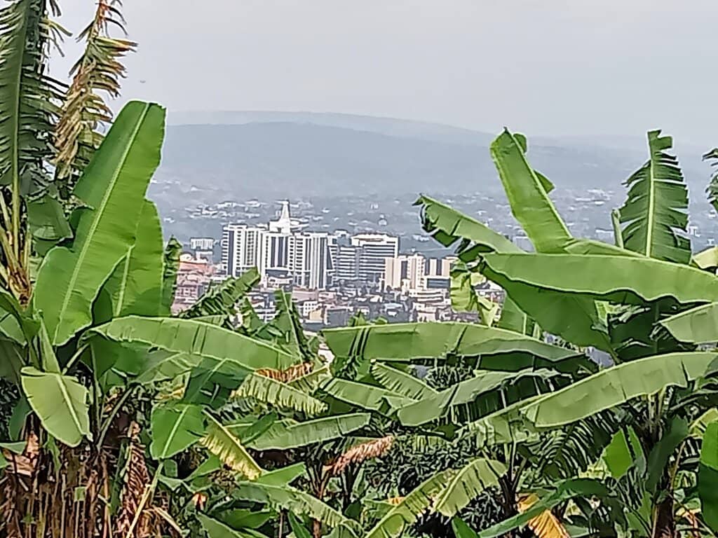 Mount Jali Hike