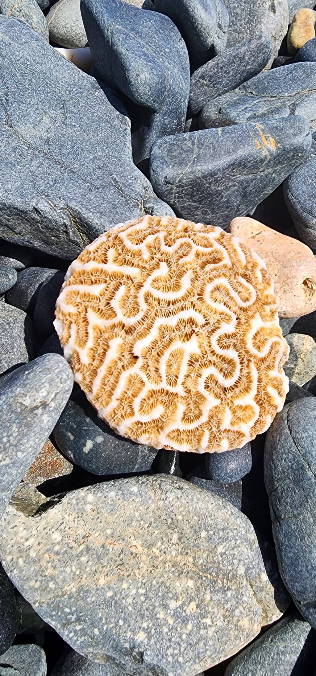 Secluded Natural Beauty