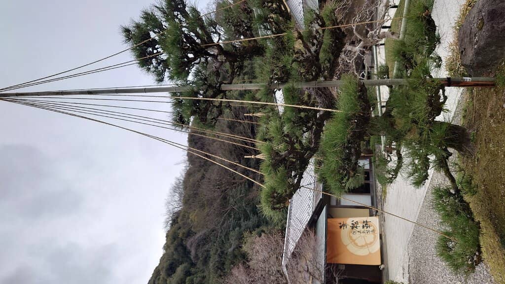 Gifu Park Gardens