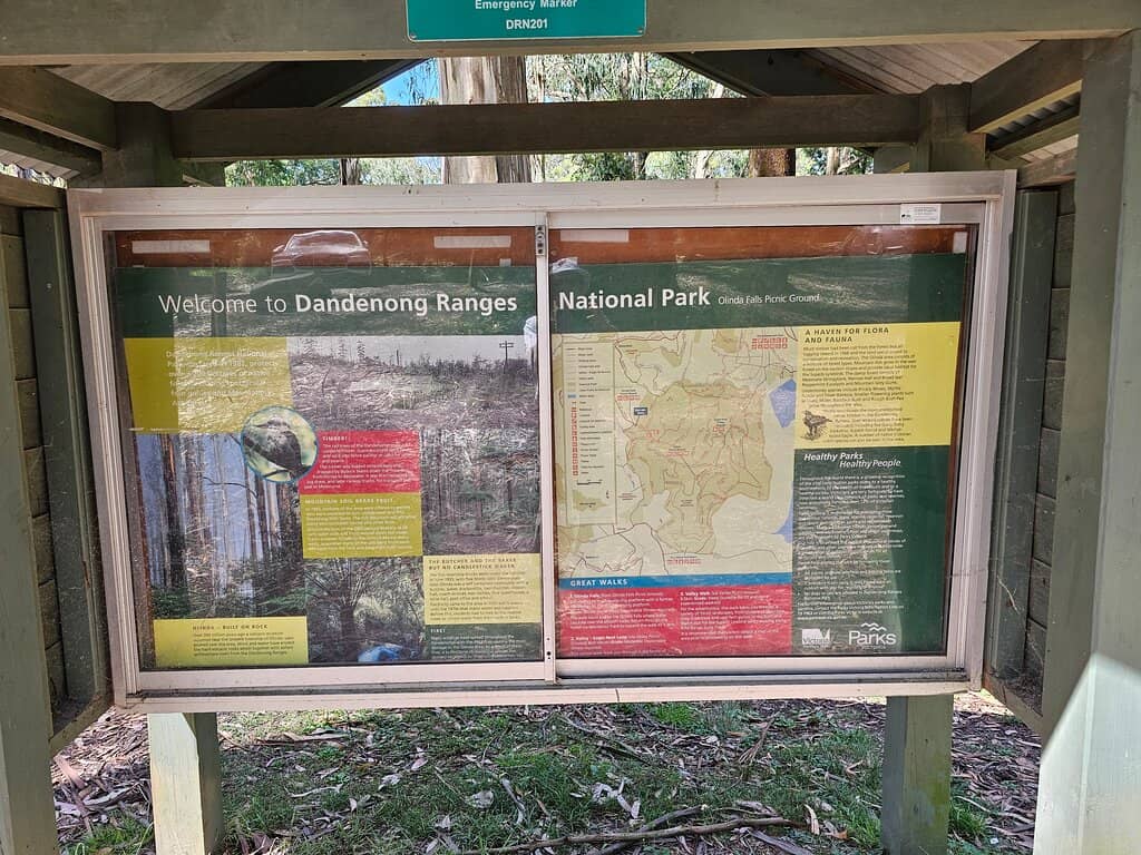 Dandenong Ranges Scenery