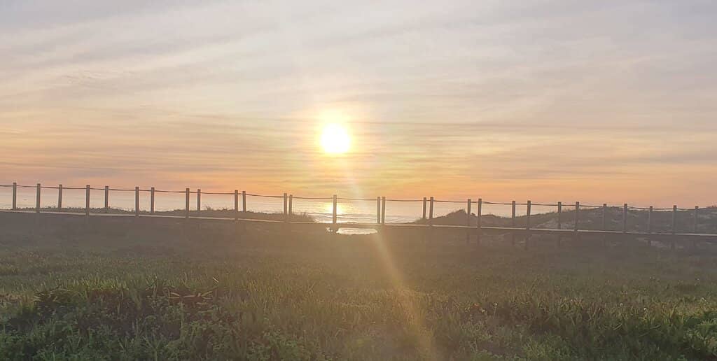 Scenic Boardwalk