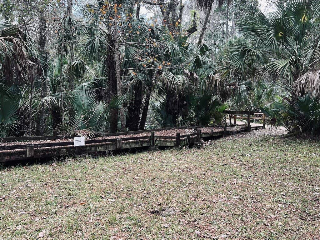 Juniper Springs Run Adventure