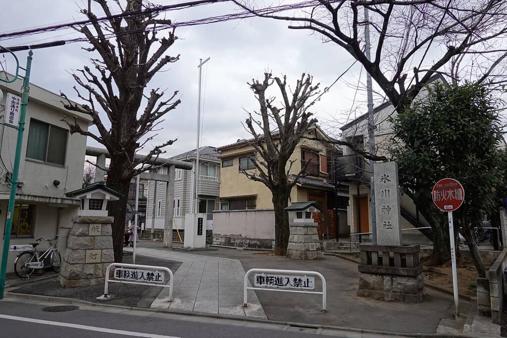Vertical photo