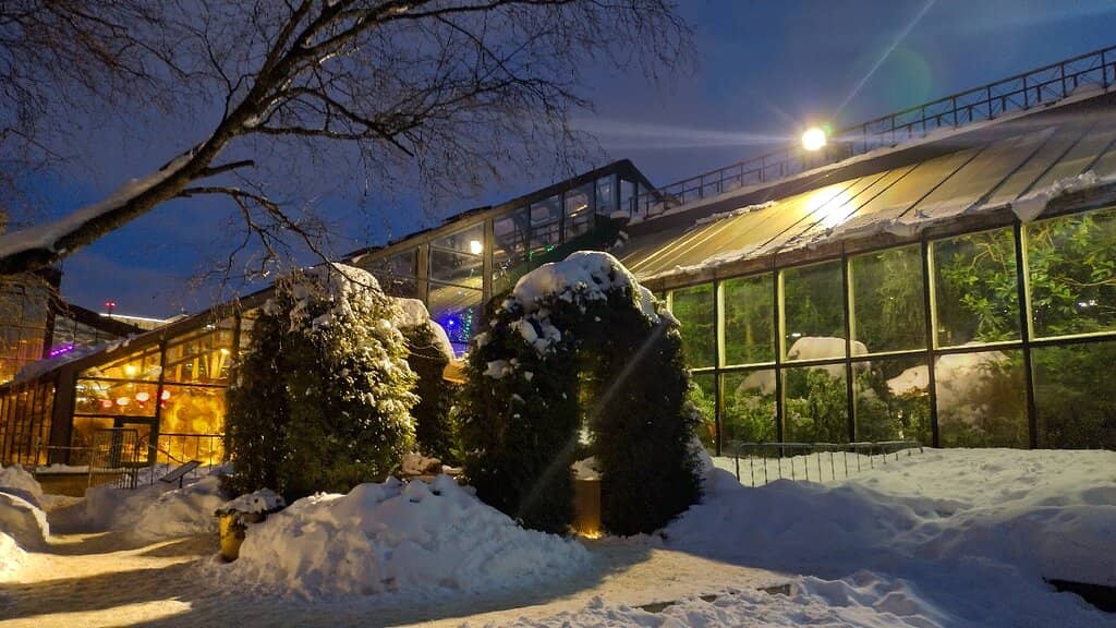 Pond and Older Park Area