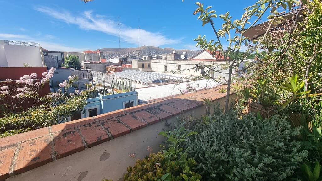 Delicious Avocado Toast & Banana Bread